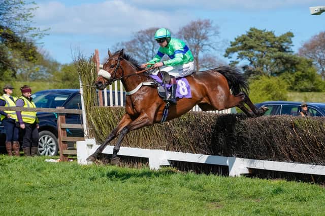 Rockatansky won the Goffs GB Pointing Bonus Young Horse Maiden over two miles four furlongs. Photo by Tom Milburn Photography