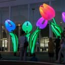 Under The Garden will be on show as part of the Winter Lights Trail in Peasholm Park.
Photo: Koros Design