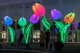 Under The Garden will be on show as part of the Winter Lights Trail in Peasholm Park.
Photo: Koros Design
