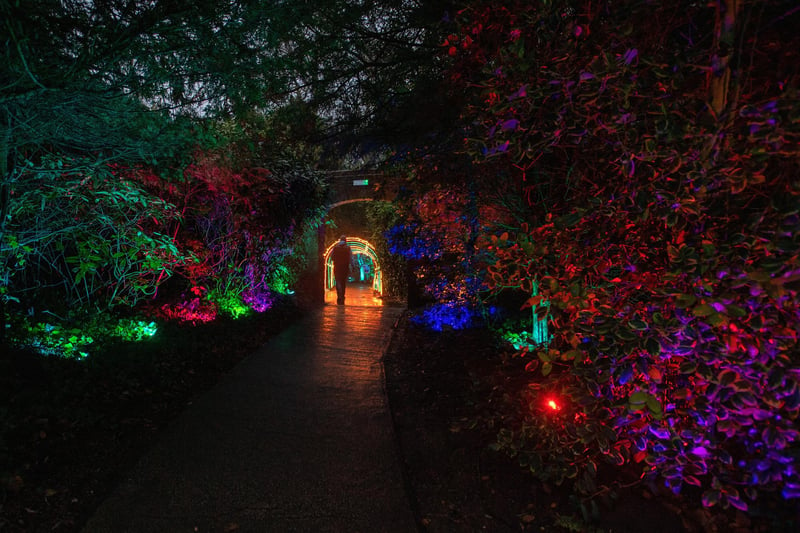 The lights are a Christmas must-see, with hundreds of people visiting the historic grounds each year.