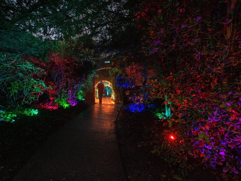 The lights are a Christmas must-see, with hundreds of people visiting the historic grounds each year.