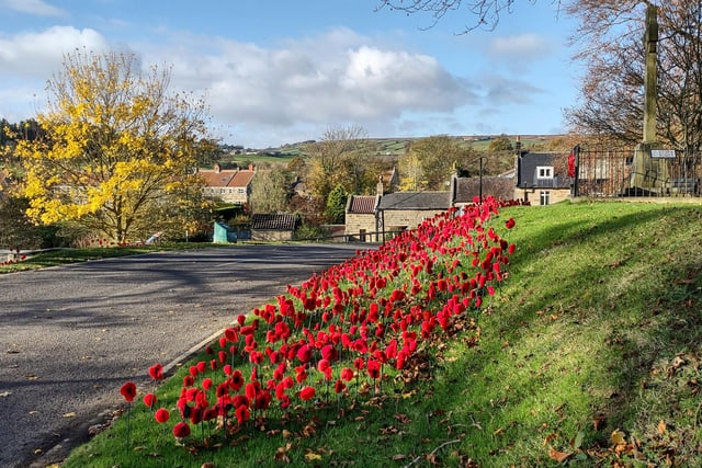 Poppies at Lealholm, by Sally Michulitis.