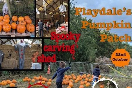 Playdale's Pumpkin Patch, located in Cayton, will be open October 21, 22, 28, 30 and 31. Visitors can enjoy the fantastic indoor and outdoor play areas, friendly animals and animal handling session; as well as a visit to the pumpkin patch to pick a pumpkin to carve in the spooky carving shed.