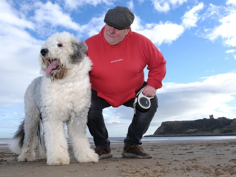 A dog walker and his canine friend enjoy a beach walk in Scarborough. picture: Richard Ponter