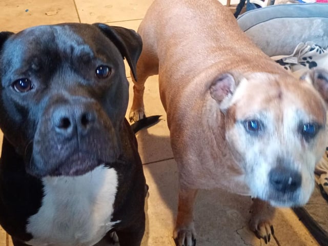 Frederick and Maggie.