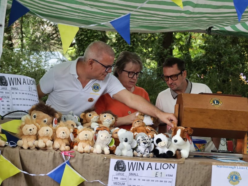 Chance to win a Lion! photo: Abbygail Harden