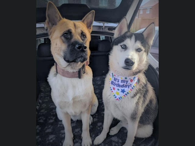 Luna and Kevin celebrating Kevin's first birthday- Beth Smith