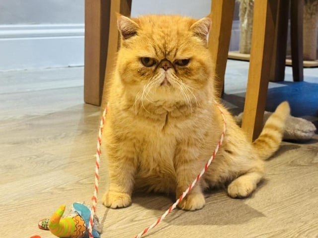 Alan looking rather unimpressed.