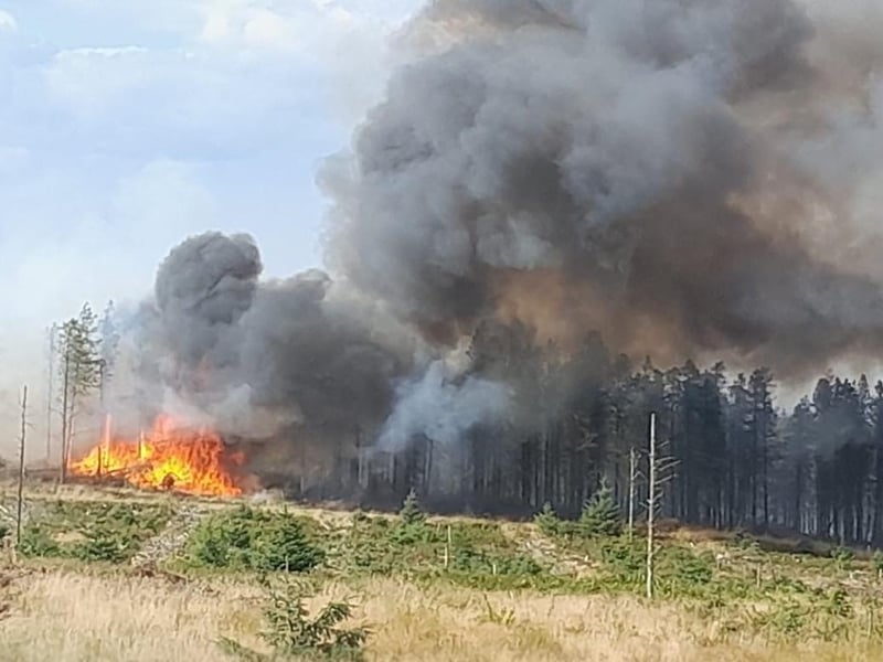 The fire was first reported on Monday, August 11.
