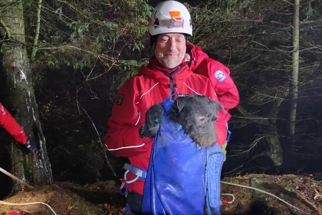 Roxy was brought to safety in a rope bag - Picture:SMRT