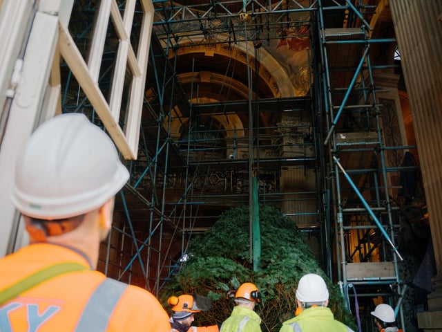 Watching on as the tree is positioned meticulously within the grand hall. photo: Tom Arber