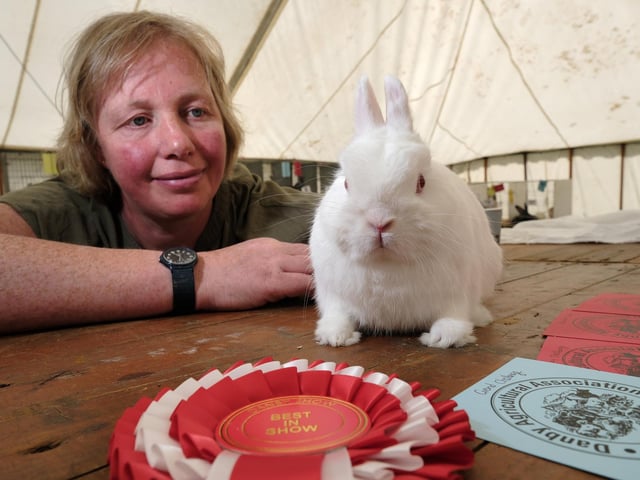 Secretary of Feather and Fur, Steph Myers, with a prize-winning rabbit.picture: Richard Ponter