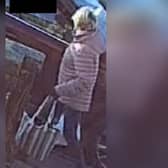 Image of a woman believed to be a key witness to a collision in Scarborough.