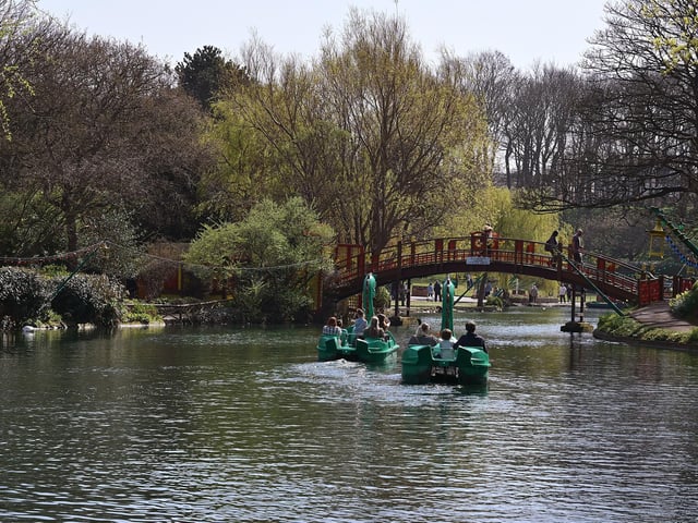 Enjoying the Dragon Boats.