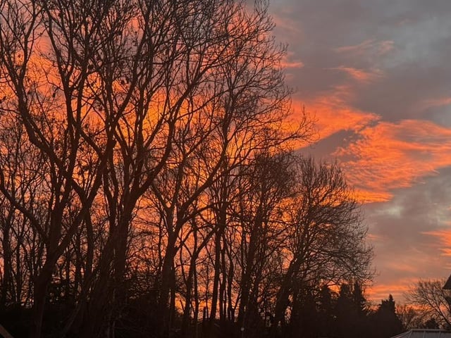 Photo submitted by Carole Ann.
