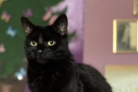 Pretty in black.