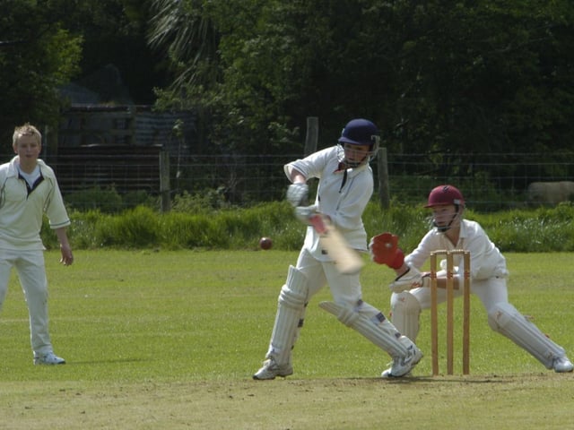Do you know any of these junior cricketers?