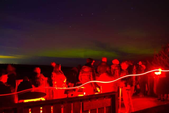 The group was fizzing with excitement as they watched the Aurora Borealis. Photo: Astro Dog.