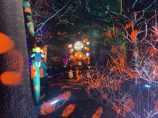 The woodland was full of colourful lights.