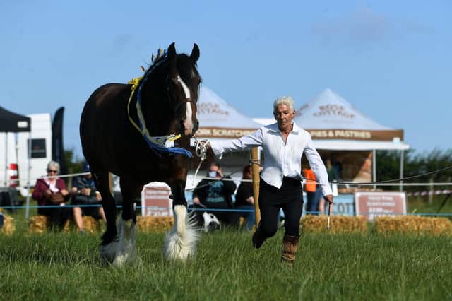 Judy Forrester, Hinderwell Horse and Agricultual Show, August 2022. Picture: Jonathan Gawthorpe