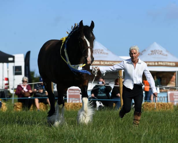 Judy Forrester, Hinderwell Horse and Agricultual Show, August 2022. Picture: Jonathan Gawthorpe