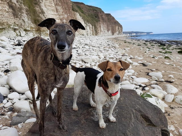 Here are Lucy and Jenny, out enjoying the beach together.