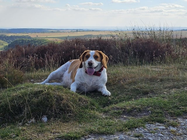 Lucy taking in the view.
