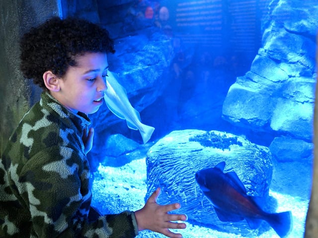 A visitor checks one of the tanks at the hatchery