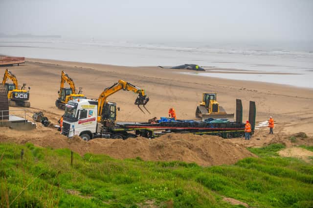 The respectfully orchestrated removal of a Fin Whale carcass on the South Shore Beach Bridlington, East Yorkshire, after it became beached, and unfortunately died earlier this week.