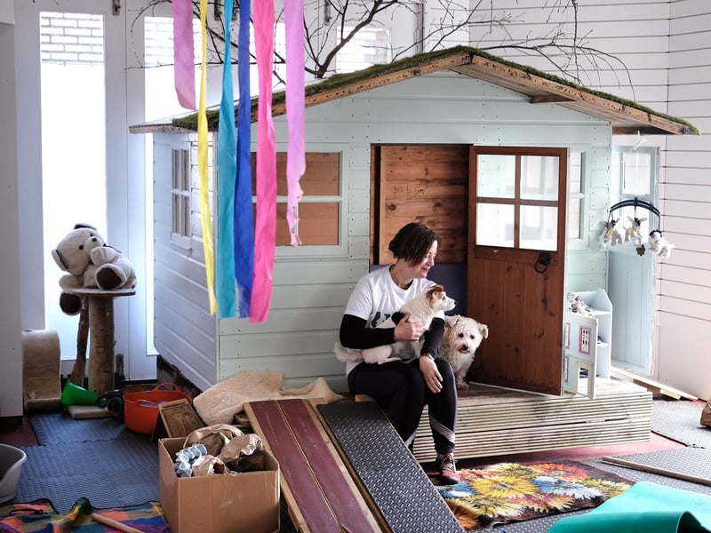 Laura describes the indoor garden as a 'focused experience', and so only one dog is allowed in the room at a time. Depending on yours and the dogs needs, two may be allowed but no more than two.