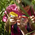 Children can enjoy bug hunting and butterfly spotting during Nature at Nunnington