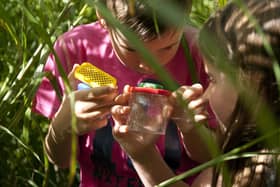 Children can enjoy bug hunting and butterfly spotting during Nature at Nunnington