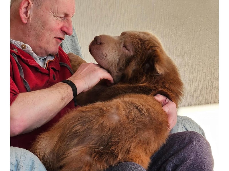 This is Belle, who already looks right at home in Bridlington after being rescued only 15 days ago.
