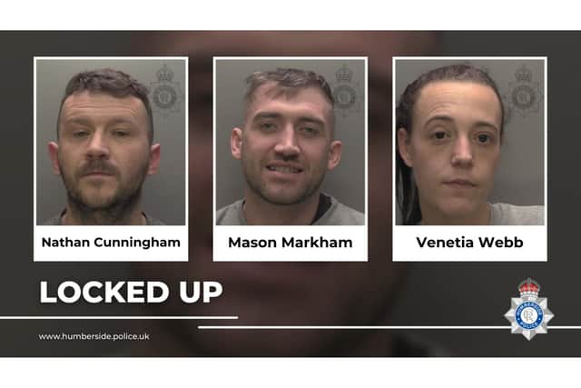 Nathan Cunningham, Mason Markham, Venetia Webb