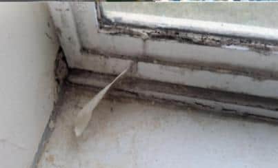 Rotten window frame. Courtesy NYC.