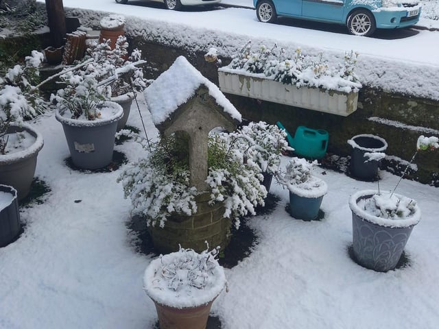 A dusting of snow captured by Christine Wilson!