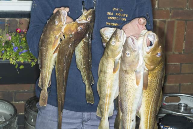 Bernard Vasey had Sunday's Heaviest Bag of Fish, 13lb