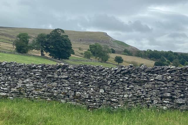 The Yorkshire Dales National Park Picture: LDRS