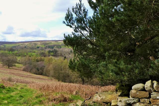Looking up Egton Grange.