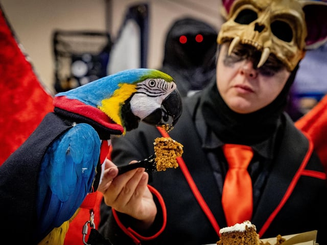 Whitby Goth Weekends in 2024 run from April 26 to 28 and November 1 to 3.
Kaley Frost is pictured with Quickler the parrot eating carrot cake.