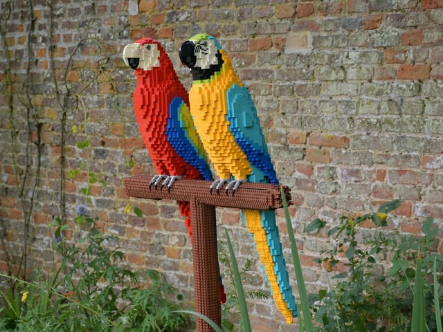 These parrots steal the show with their fantastically bright colours.