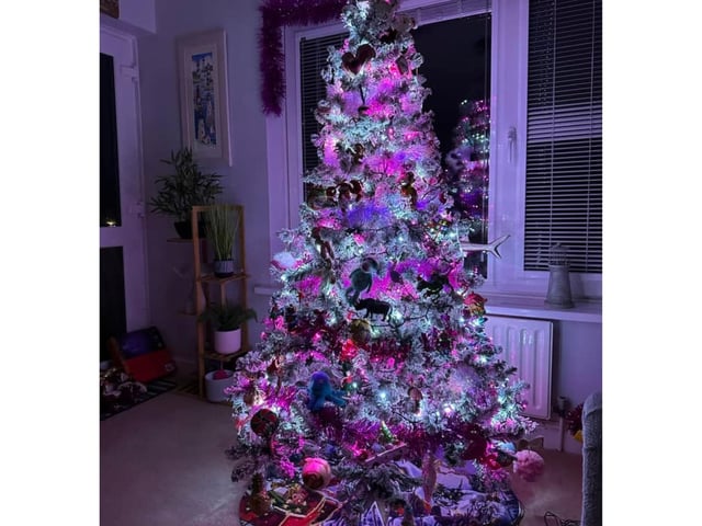 This vibrant tree sent in by Steph Sykes from Bridlington has a very strong colour scheme.