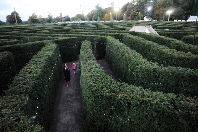 Stockeld Park, open all year. Be befuddled by the giant maze at Stockeld Park’s Magical Maze near Wetherby, filled with surprises. There are more than two miles of paths in the eight feet high labyrinth, designed by maze genius Adrian Fisher. Climb the castle viewing tower to look out over tops of the trees to get your bearings or cross bridges to discover playful surprises and unexpected obstacles.