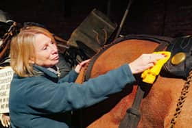 The deep clean at Eden Camp near Malton is under way.