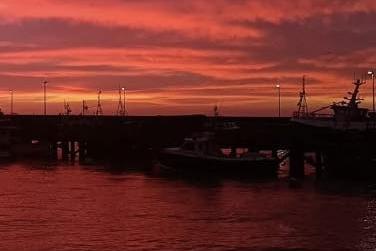 Photo submitted by Michaela Johnston.