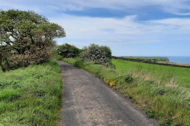 Cinder Track.