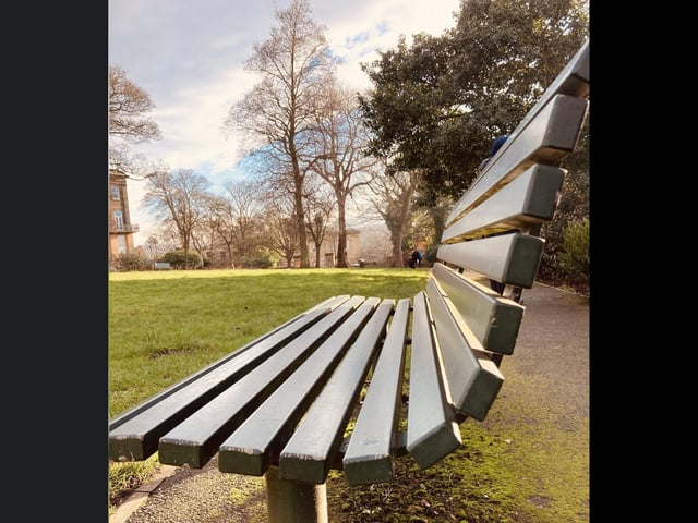 There are lots of lines in this, from the trees to the bench!