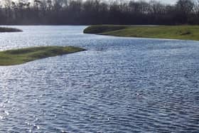 Burton Riggs Nature Reserve.