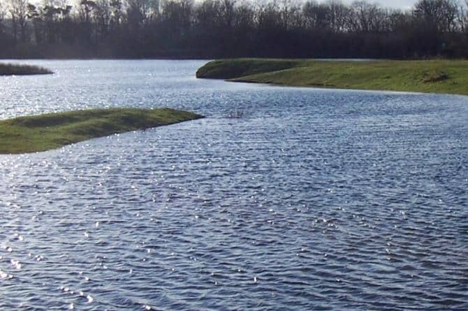 Burton Riggs Nature Reserve.