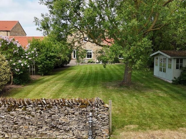 The mature lawned garden, looking back towards the house.
